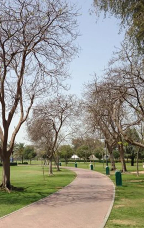 Al Safa Park